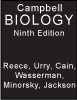 Textbook Cover