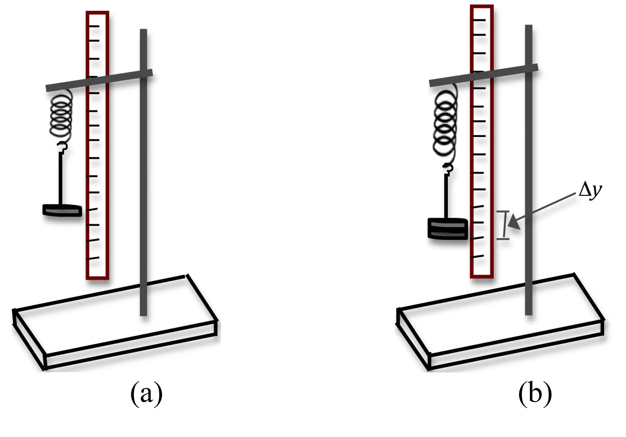4a is diagram image of weight hanger on spring suspended from stand next to ruler. 4b is image weight placed in weight hanger, displaying an extra extension of delta-y.
