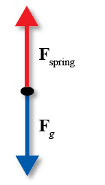 Red vector arrow labeled f sub spring pointing upward from point, and blue vector arrow labeled F sub g point down.