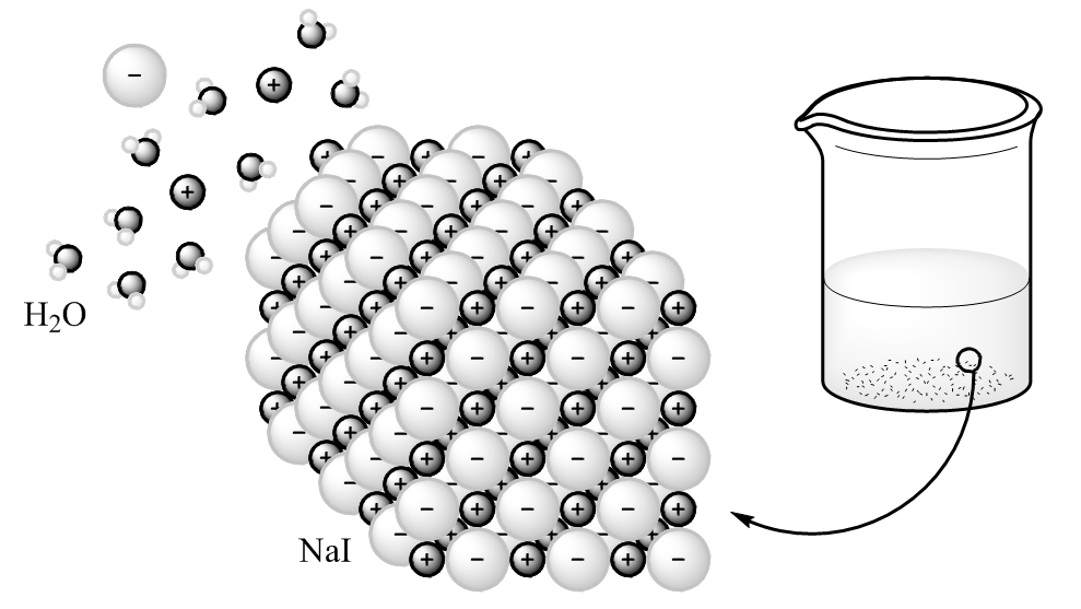 Lab 11 Thermodynamics of Salt Dissolution
