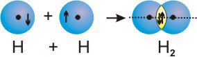 overlap of orbitals to produce H-H bonds