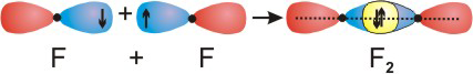 overlap of orbitals to produce F-F bonds