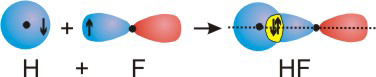 overlap of orbitals to produce H-F bonds