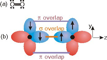 pz overlap produces a sigma bond while py overlap produces a pi bond