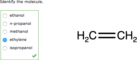 Question as displayed to students