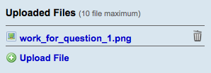 uploaded file list showing an uploaded file