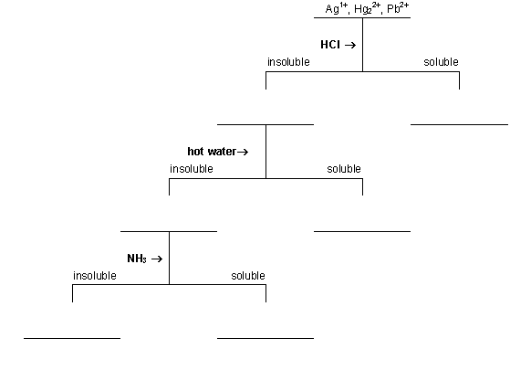 Group 1 Cations Flow Chart