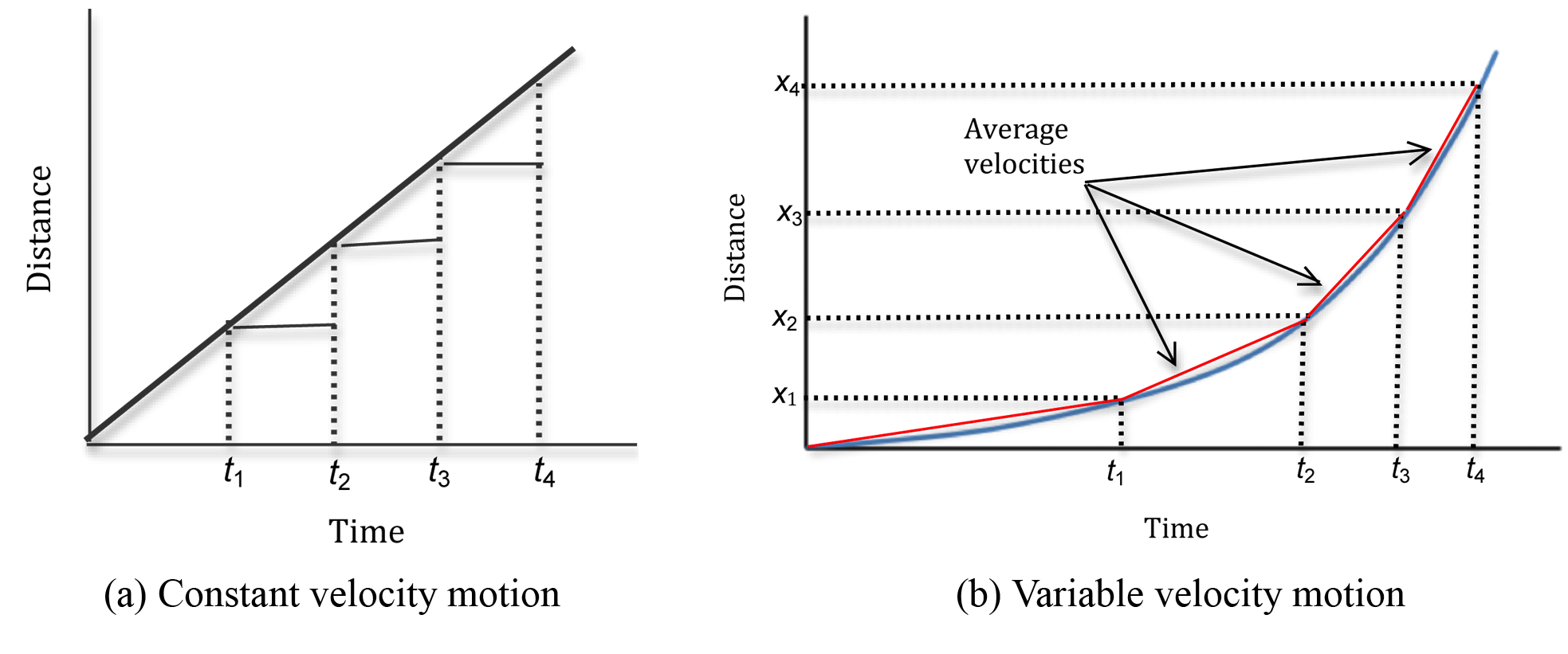 first graph shows straight line with a positive slope and is labeled (a) Constant velocity motion; second graph shows an increasing curve, points at four times are indicated and straight red lines are drawn between the points; the second graph is labled (b) Variable velocity motion