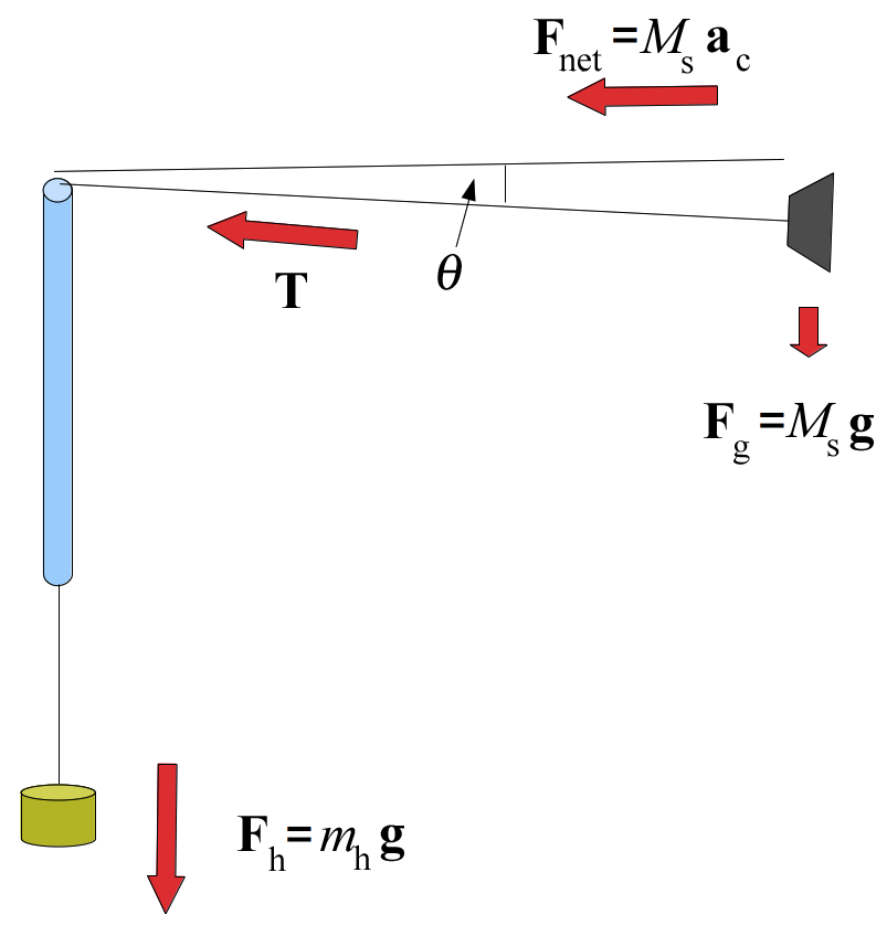 A string runs through a vertical tube with a mass hanger on the end hanging below the tube and a rubber stopper on the end extending to the right of the tube, just slightly below the horizontal. The angle between the string with the stopper and a line indicating the horizontal is labeled theta. An arrow beneath the part of the string with the stopper points from the stopper towards the tube and is labeled as vector T. An arrow above the line indicating the horizontal points from the hanger toward the tube and is labeled with an equation indicating the net force vector equals the mass of the stopper times the centripetal acceleration vector. An arrow beneath the stopper points downward and is labeled with an equation indicating the force vector F sub g equals the mass of the stopper times the gravity vector. An arrow beside the mas hanger points downward and is labeled with an equation indicating the force vector for the hanger equals the mass of the hanger multiplied by the gravity vector.