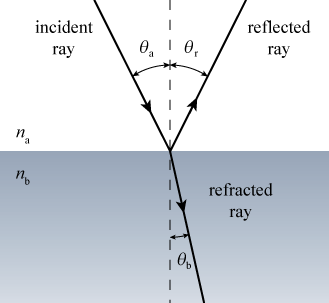There are two mediums in the image. Medium n_a is at the top half and medium n_b is at the lower half. An incident ray represented by an arrow is traveling through medium n_a and is incident at some angle on the second medium n_b. There is a vertical dashed line where the incident ray meets the second medium. All the angles are measured from this vertical line. The angle between the incident ray and the vertical line is labeled theta_a. The reflected ray represented by another arrow, points up in medium n_a at angle theta_r from the vertical line. Thus, the angle theta_a and theta_r are on either side of the vertical line. At the point where the incident ray meets the medium n_b, a refracted ray represented by an arrow travels down the medium n_b at an angle theta_b from the vertical line. 