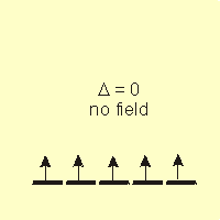 no field
