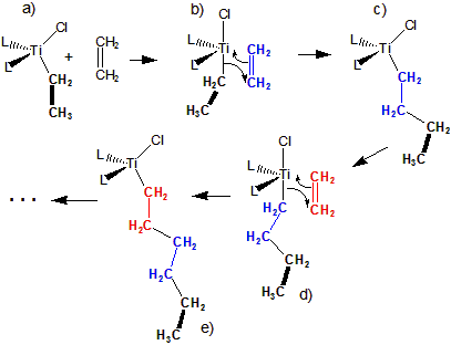 titanocene catalyzes the polymerization of ethene