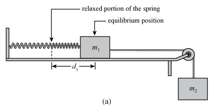 Solved You have two equal masses m1 and m2 and a spring | Chegg.com